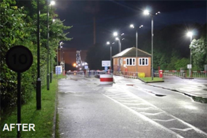 Medusa LED Streetlight