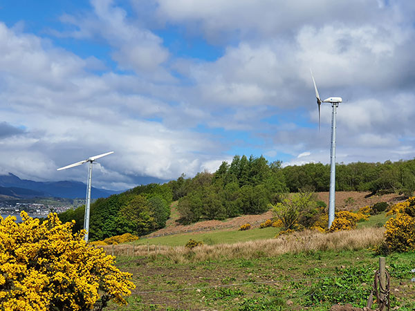 Renewable Energy - wind turbines in a field