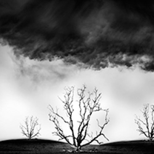 Nature taking a hit from the energy market
