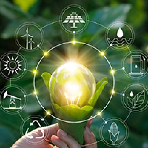 carbon neutral