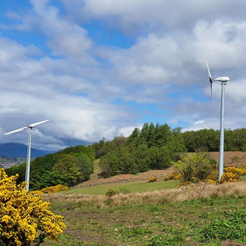 Renewable Energy - wind turbines in a field